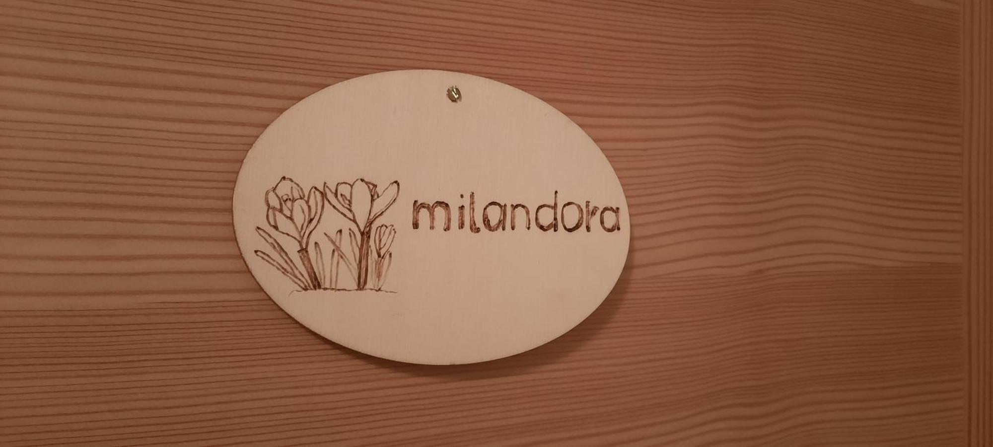 Luech Da Morgnun San Vigilio Di Marebbe Quarto foto